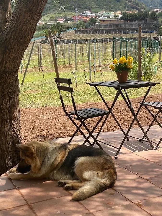 بيت للعطل Casita Entre Vinedos, Experiencia Rural, Ideal Ninos. Tegueste إسبانيا