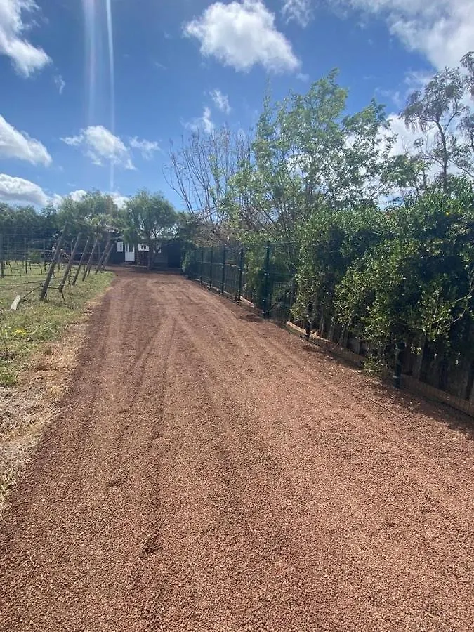 بيت للعطل Casita Entre Vinedos, Experiencia Rural, Ideal Ninos. Tegueste