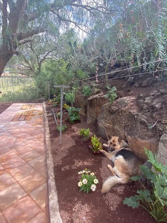 Casita Entre Vinedos, Experiencia Rural, Ideal Ninos. Tegueste بيت للعطل