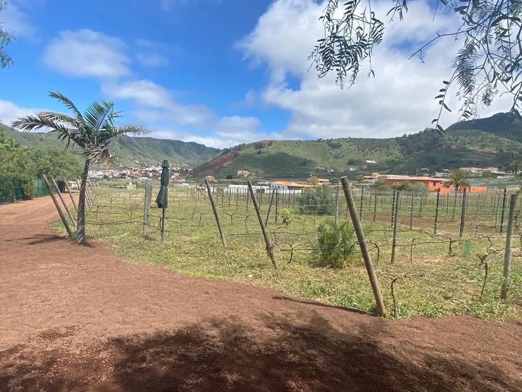 Casita Entre Vinedos, Experiencia Rural, Ideal Ninos. Tegueste إسبانيا