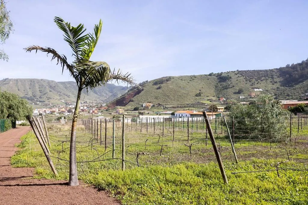 Casita Entre Vinedos, Experiencia Rural, Ideal Ninos. Tegueste إسبانيا